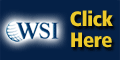 WSI Internet /franchise/WSI-Internet